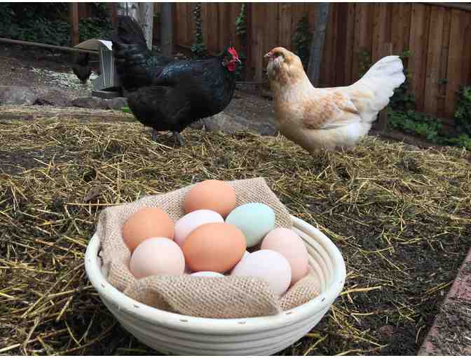 2 Dozen of Fresh Organic Eggs