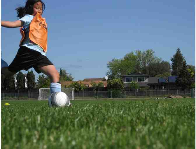 One week of Soccer Camp with Coach Andrew- WSP Parent