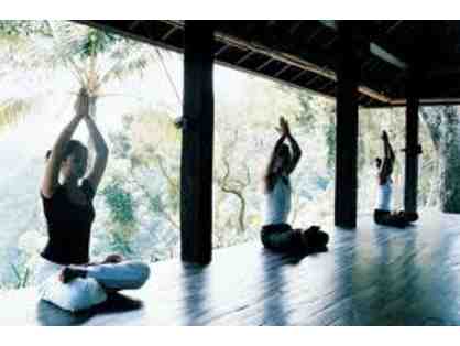 Yoga Retreat Sign Up Party Woodside - August 13, 2017 9:00am - 4pm