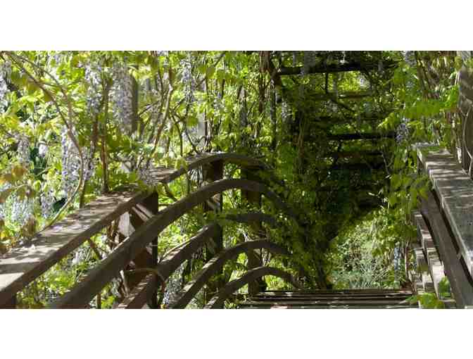 Day-Use Voucher for 2 People at Vichy Springs Resort