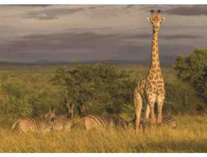 6- Night South African Photo Safari Package for Two at Zulu Nyala