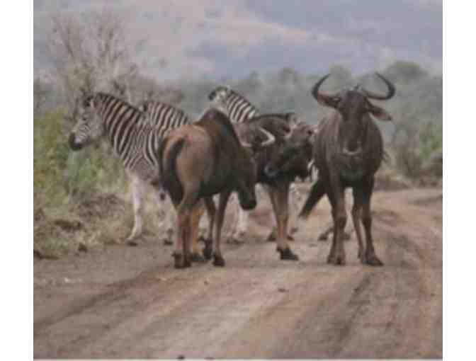 6- Night South African Photo Safari Package for Two at Zulu Nyala