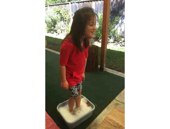 WSP Rose Kindergarten ' Rainbow Blooming Rose'