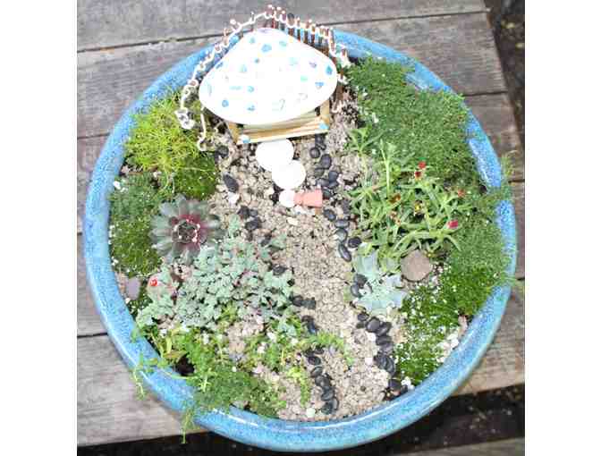 WSP 5th Grade: Miniature Fairy Garden