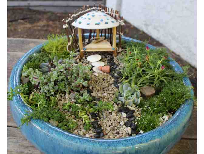 WSP 5th Grade: Miniature Fairy Garden