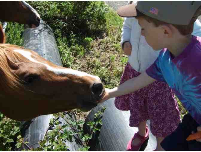 One Week of Cool Coyote Kids Camp - Summer 2018-2019