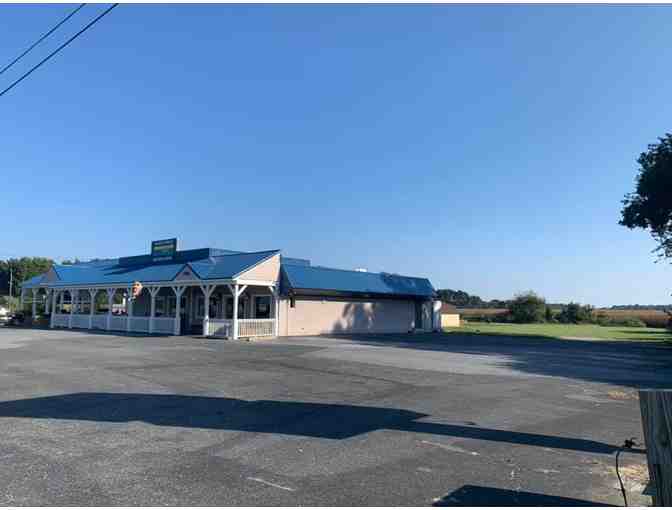 Pink/White Themed Donuts