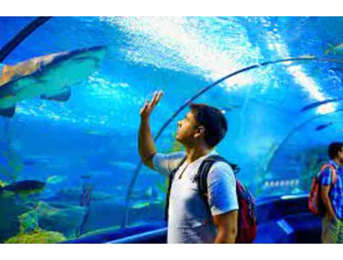 National Aquarium (2) Adult Passes