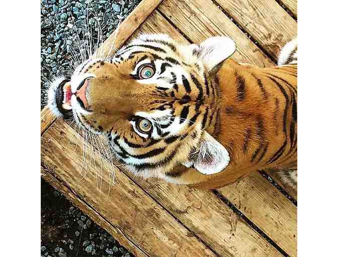 An Overnight stay with an Adventure