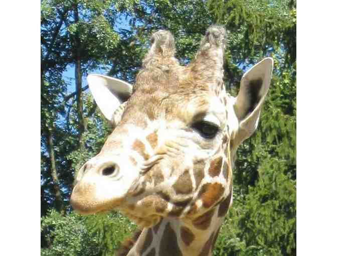 An Overnight stay with an Adventure