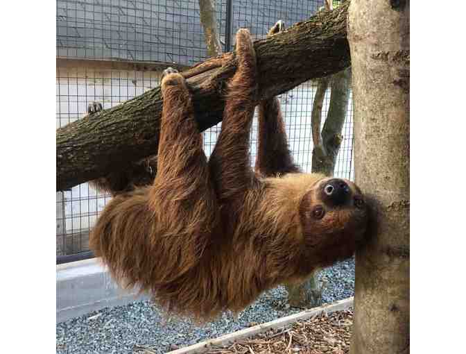 An Overnight stay with an Adventure