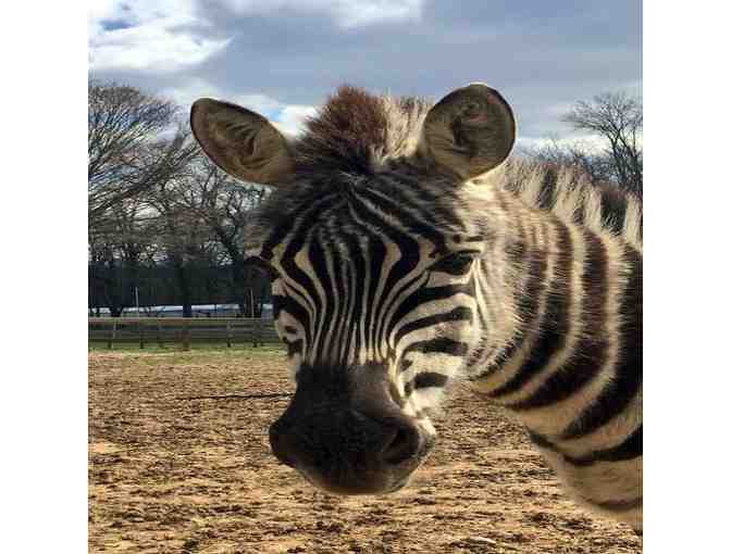 An Overnight stay with an Adventure