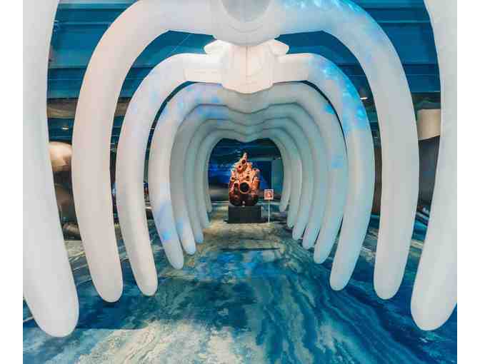 Clearwater Marine Aquarium