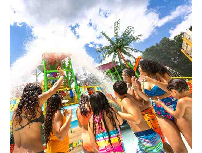 Kings Dominion Soak City Passes