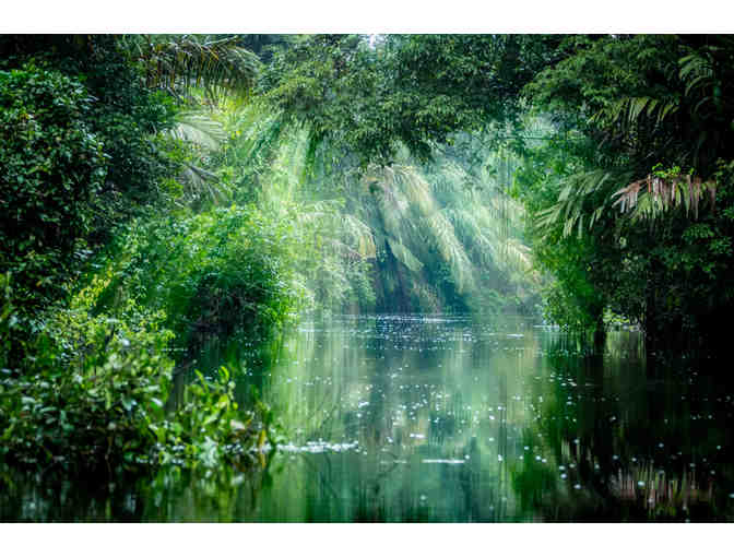 Tropical Coasta Rica