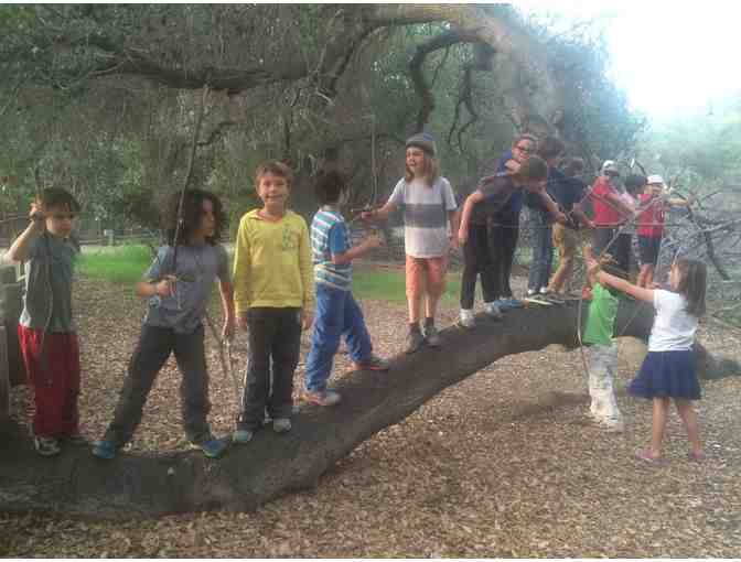 5 days of summer camp With Nature Kids!