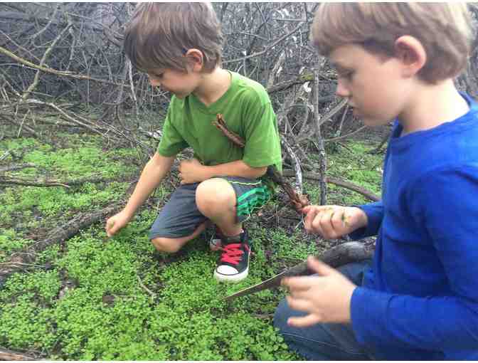 5 days of summer camp With Nature Kids!