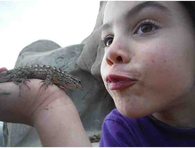 5 days of summer camp With Nature Kids!