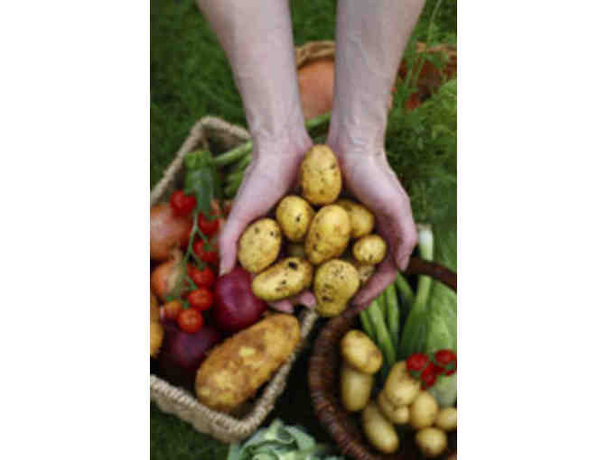 Home CSA Box Delivery