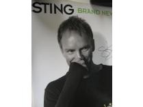 Signed and Framed Sting Poster