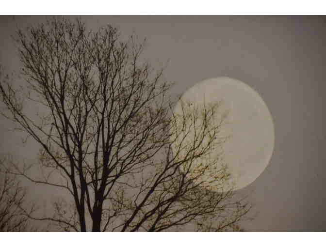 Winter Full Moon Framed Print