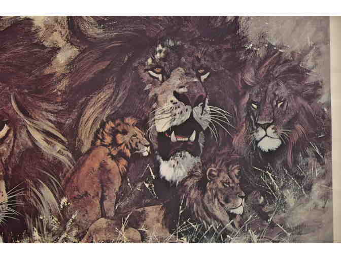 'King of the Jungle' Print