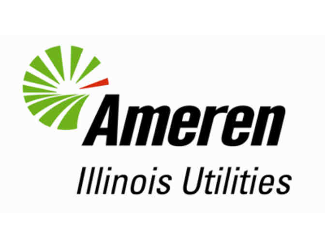 Ameren Illinois Energy Efficiency Basket - Photo 1