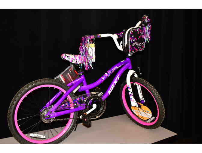 Girls Dynacraft Bike