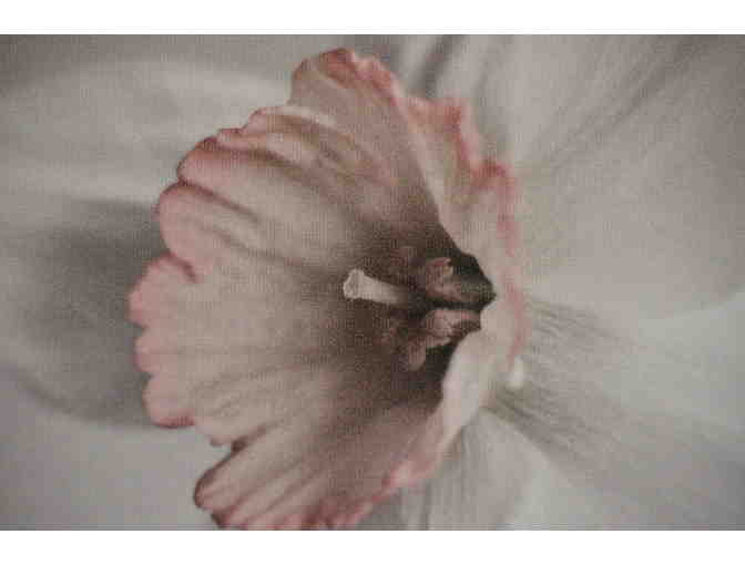 Spring Daffodils' Print 2