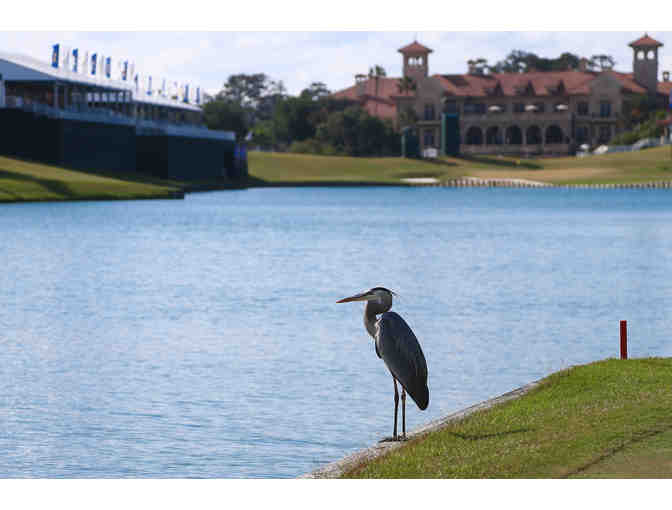 The Players Championship - Photo 8