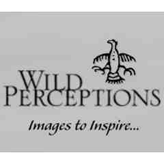 Wild Perceptions - Robert Shaw Studio