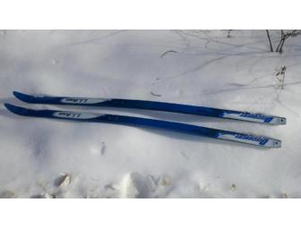 Cross Country Skis -- LL Bean Discovery Cross Country Skis (New!) 160 cm