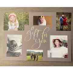 Amanda Greer Photography