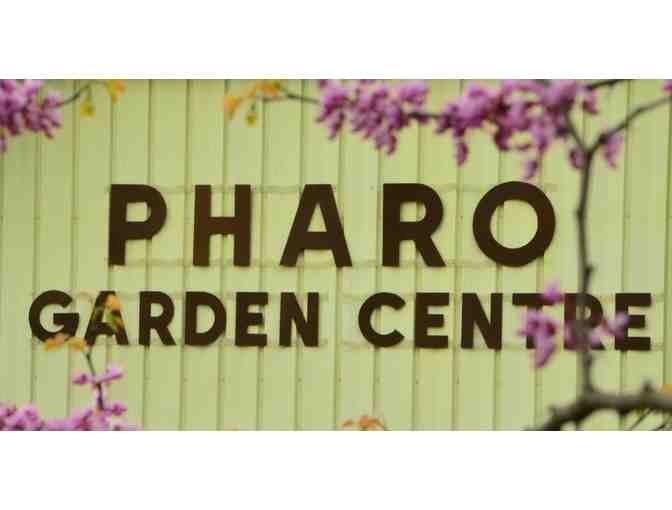 German Smoker - Pharo Garden Centre