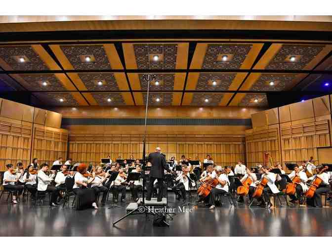 2 Tickets to Virtuosi of the EMMF Festival!- Endless Mountain Music Festival