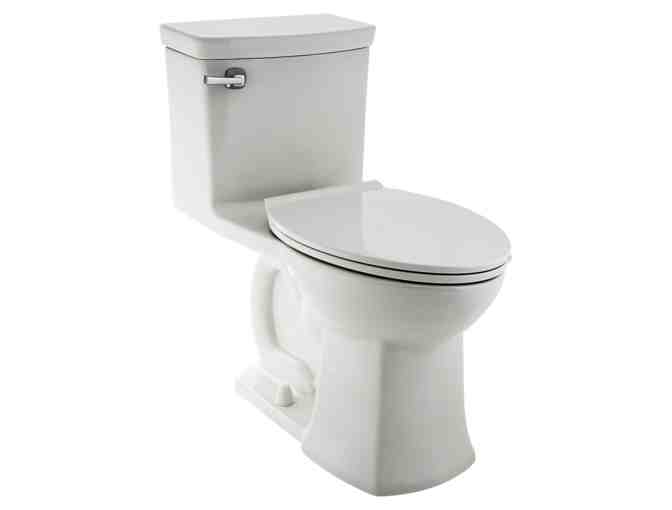 Freestanding Bath Tub + Matching Toilet from Eastern Penn Supply