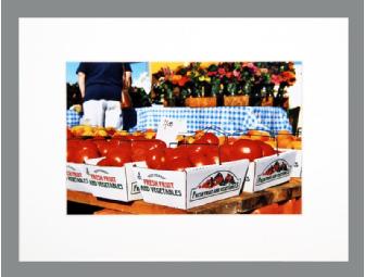 Tomatoes 8X12 Matted Photo by Mark C. Jones
