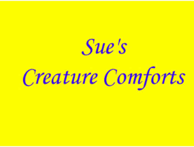 Sue's Creature Comforts - Pet Grooming Gift Certificate