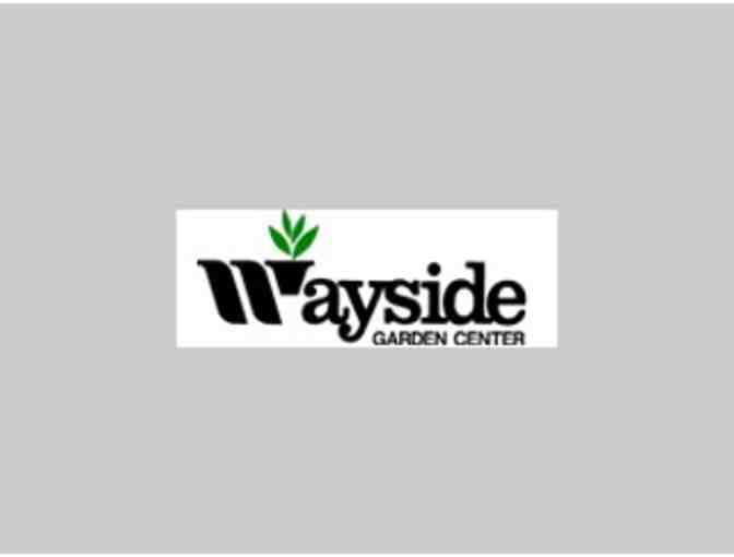 Wayside Garden Center, Inc. offers a Nursery Stock Certificate