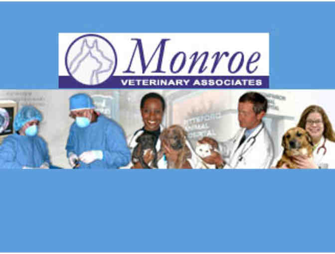 Monroe Veterinary Associates offers Certificate for Three Day Cat Boarding