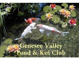 Family Membership for Genesee Valley Pond & KOI CLub