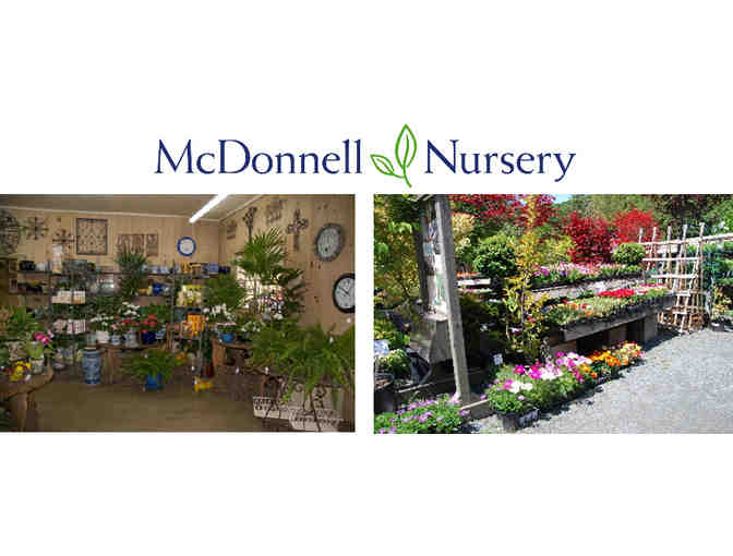 $250 in Gift Cards - Dress up Your Garden!