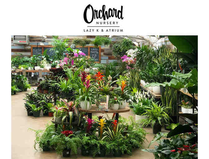 $250 in Gift Cards - Dress up Your Garden!
