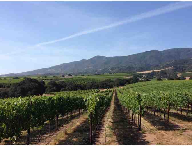 12 Bottles of Pisoni Vineyards 2019 Lucy Rose