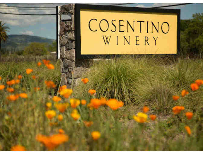 6 Bottles of Wine with 4 Person Wine Tasting at Cosentino Winery in Napa Valley