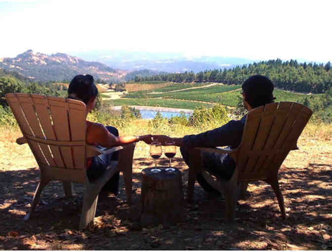 8 Guests - Tour Wineries of the Napa Valley in Comfort and Style