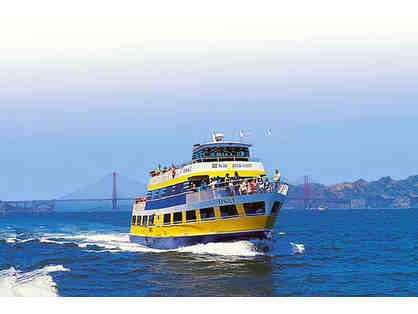 2 RT Tickets on Blue and Gold Ferry to Tiburon PLUS 2 Comfort Bike Rentals