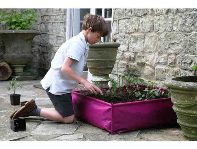 TDI Brands - Kids Gardening Items