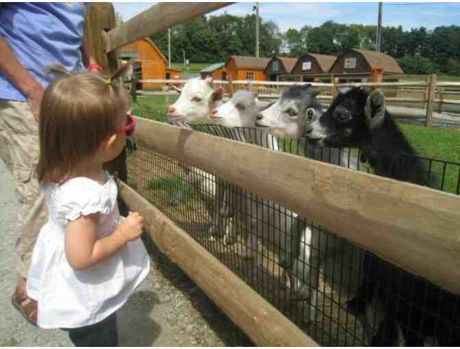 Cherry Crest Adventure Farm -4 Farm Fun Day Pass admissions - Photo 2