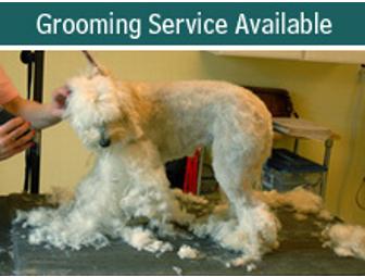 Full Grooming Package for your Dog - Gift Certificate